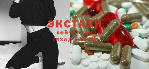 гашик Алексин
