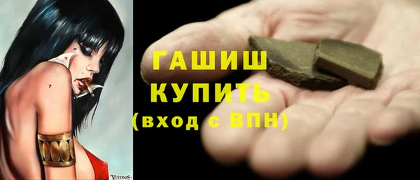 гашик Алексин