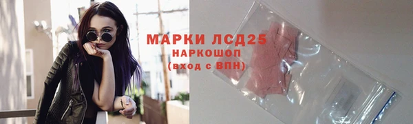 гашик Алексин