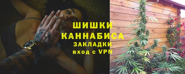 гашик Алексин