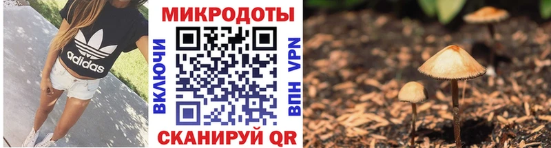 Псилоцибиновые грибы Psilocybine cubensis Сураж
