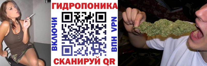 Канабис MAZAR  Сураж 
